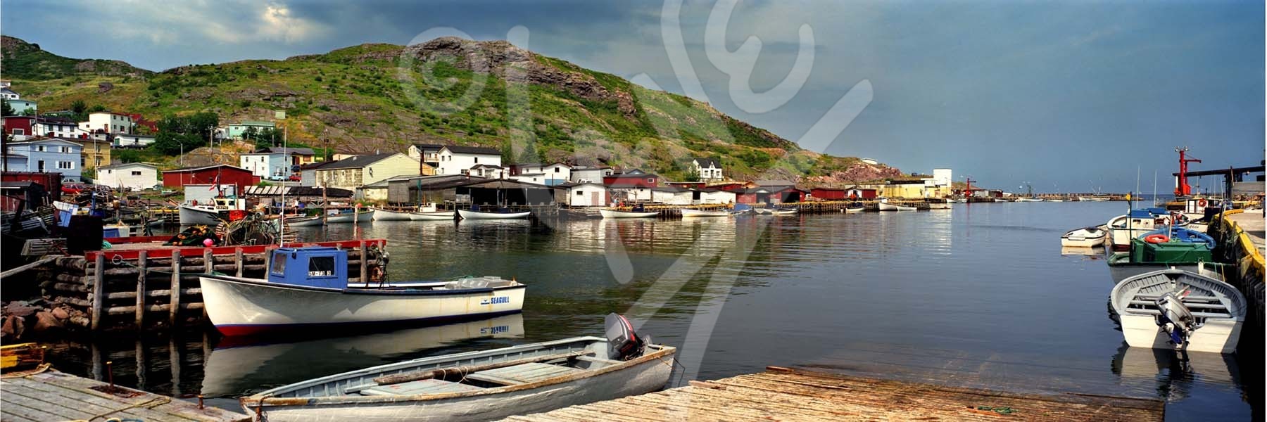 Petty Harbour